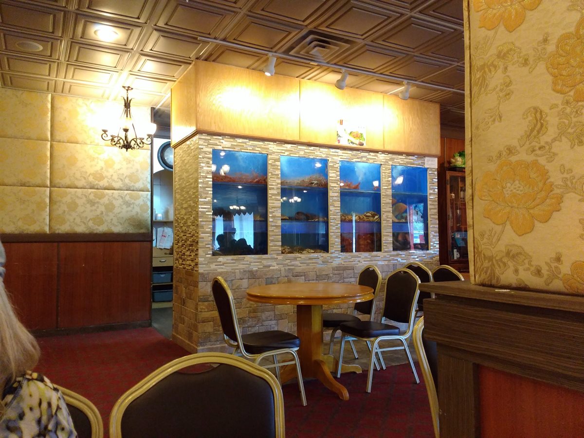 Joy Palace